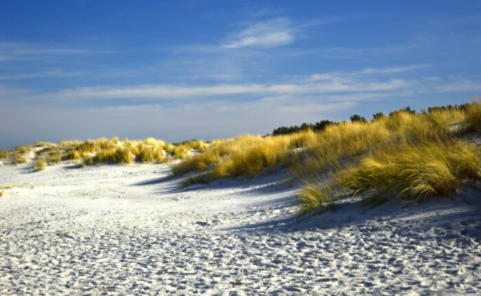 Mountainbiken in Noord-Holland
